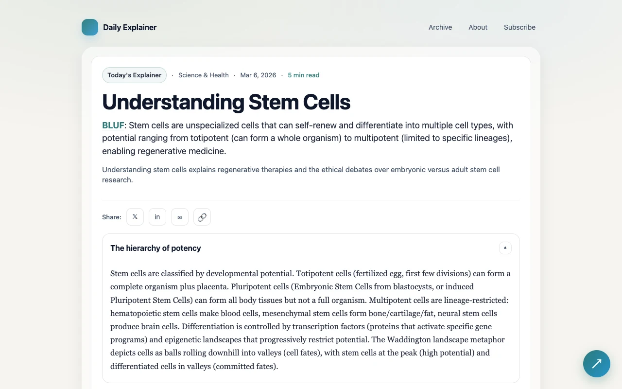 Daily Explainer screenshot